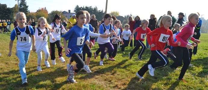 29101167kl 29101167kl