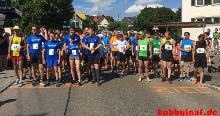 kressberglauf2016_IMG_7354 kressberglauf2016_IMG_7354