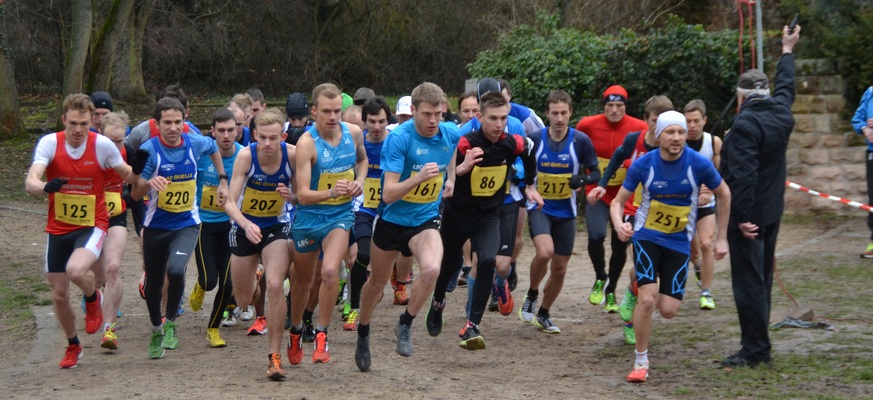 31160451 Start Maenner 31160451 Start Maenner
