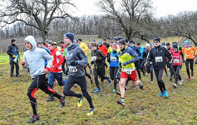 Weigenheim 2016 StartLangstrecke Weigenheim 2016 StartLangstrecke