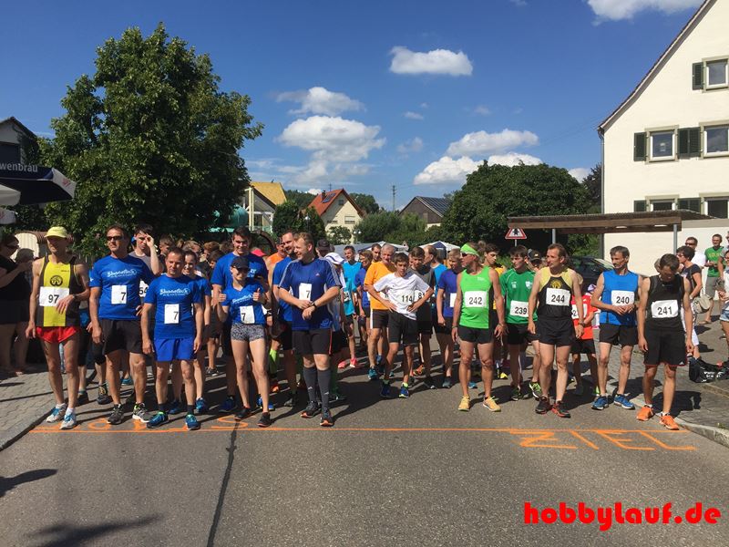 kressberglauf-2016_IMG_7354 kressberglauf-2016_IMG_7354
