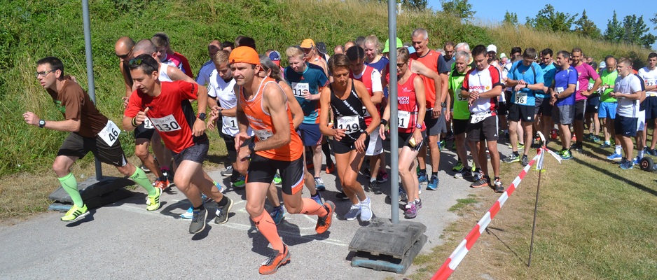 080780017 Start 080780017 Start