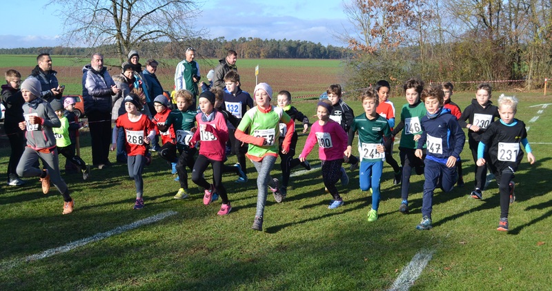 241180384 Lauf 2 241180384 Lauf 2
