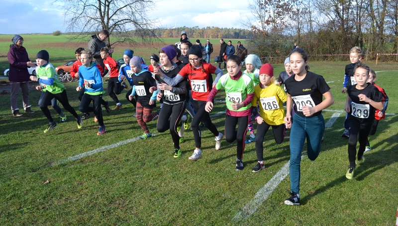 241180530 Lauf 3 241180530 Lauf 3