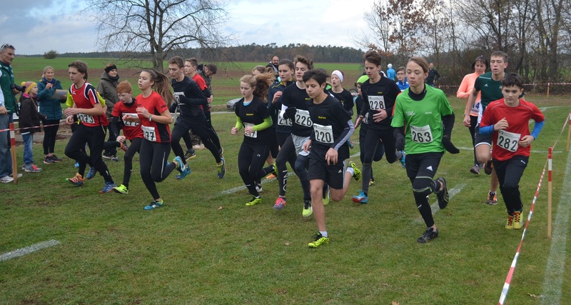 241180768 Lauf 4 241180768 Lauf 4