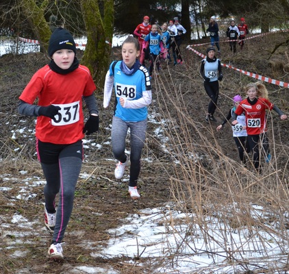 1002190239 Ronja Stritzel 1002190239 Ronja Stritzel