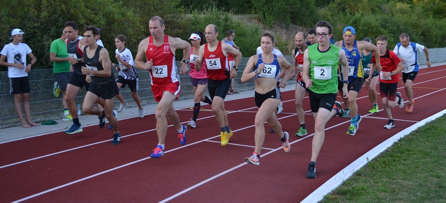 240790294 B-Lauf 240790294 B-Lauf