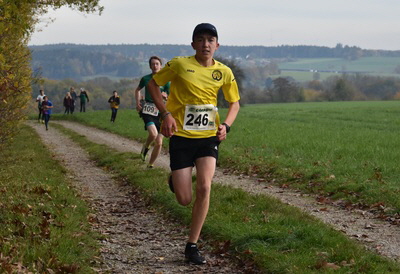 121120220478_Seibold_Uebelhoer