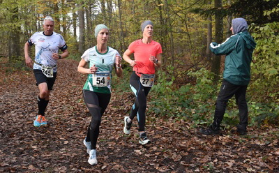 121120220658_Huebsch_-_Gottwald_-_Hoelzlein