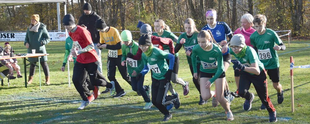 231120240248 2580m 231120240248 2580m